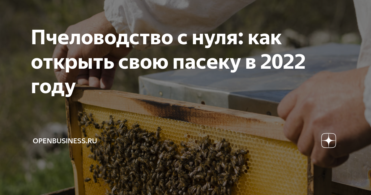 Товары для пчеловодов купить в интернет-магазине Agro 63 – все, что нужно для пасеки