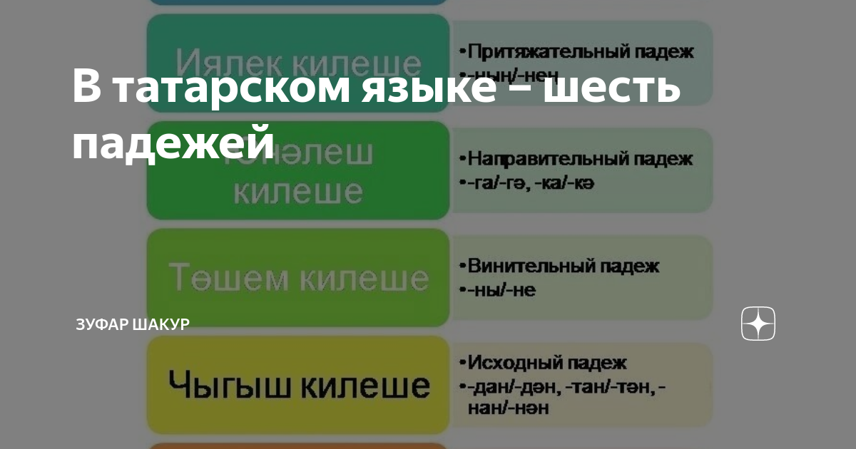 В татарском языке – шесть падежей | ЗУФАР ШАКУР | Дзен