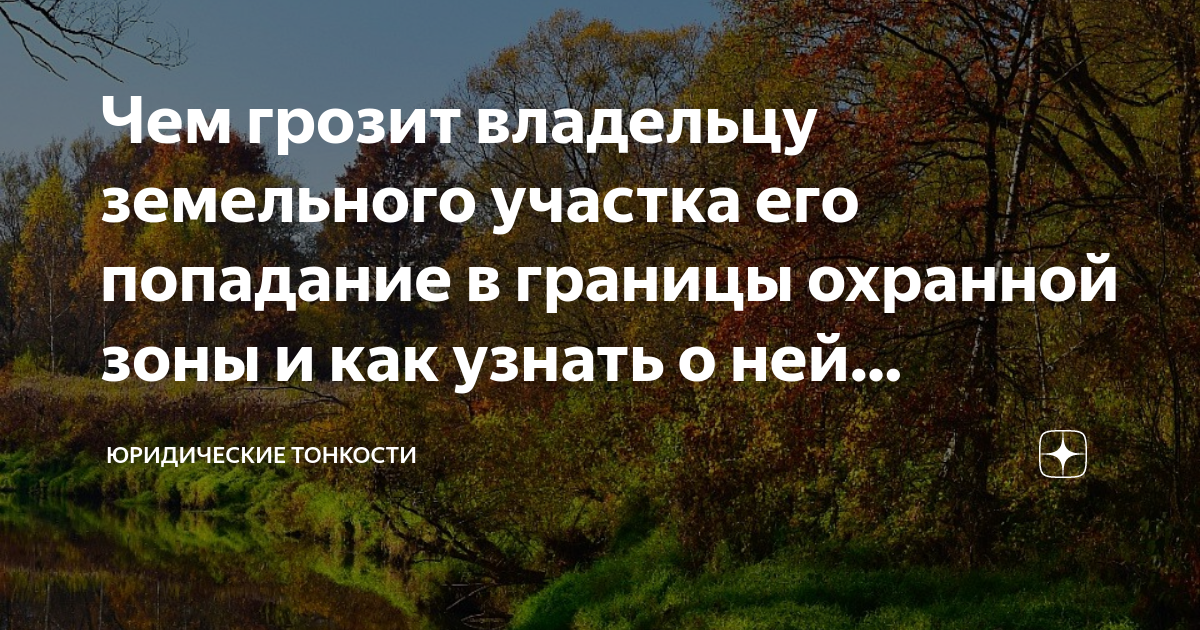 Что грозит собственнику. 300 Летний дуб Елагин остров. 300 Летний дуб Питер. Елагин парк 300 летний дуб. Дуб на Елагином острове.