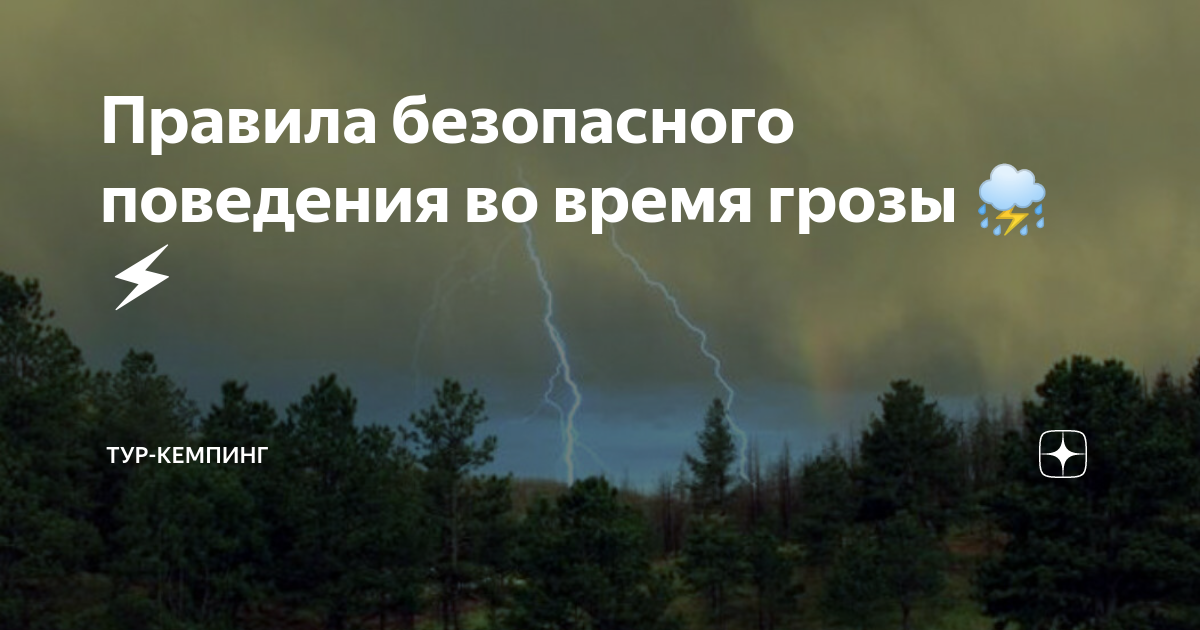 Почему нельзя прятаться под деревом от грозы. Ответ в видео