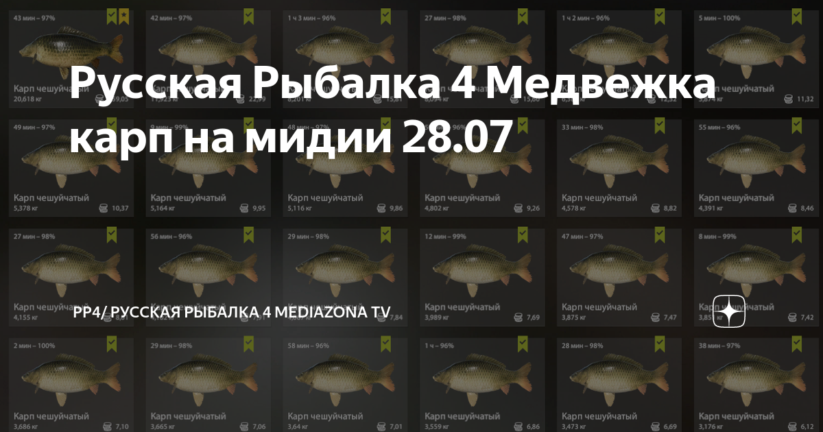 Русская рыбалка 4 на что клюет карп