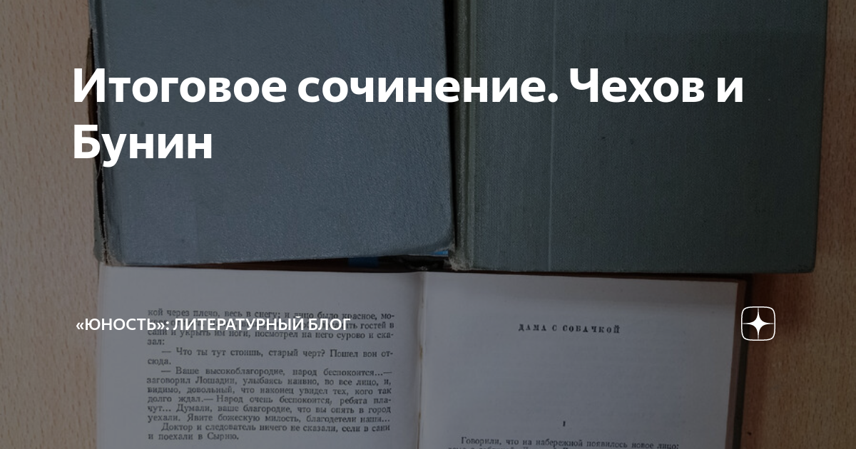 сочинение анализ стихотворения бунина одиночество