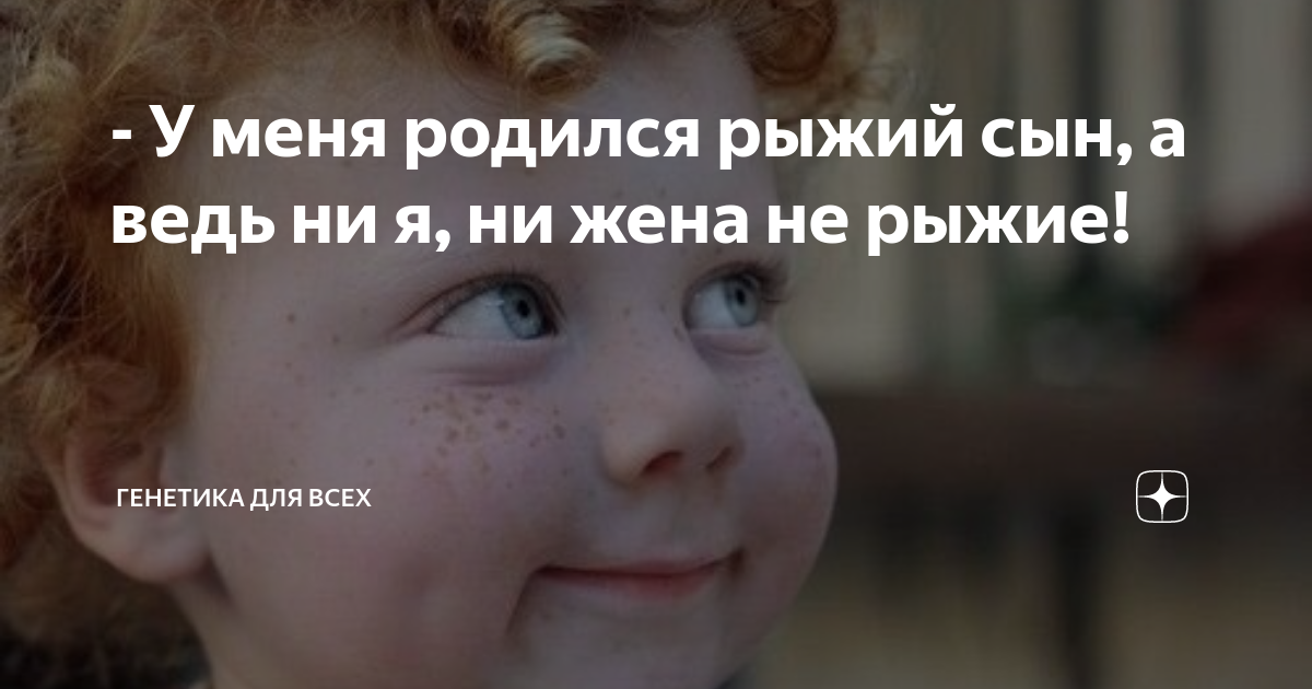 - У меня родился рыжий сын, а ведь ни я, ни жена не рыжие! | Генетика ...