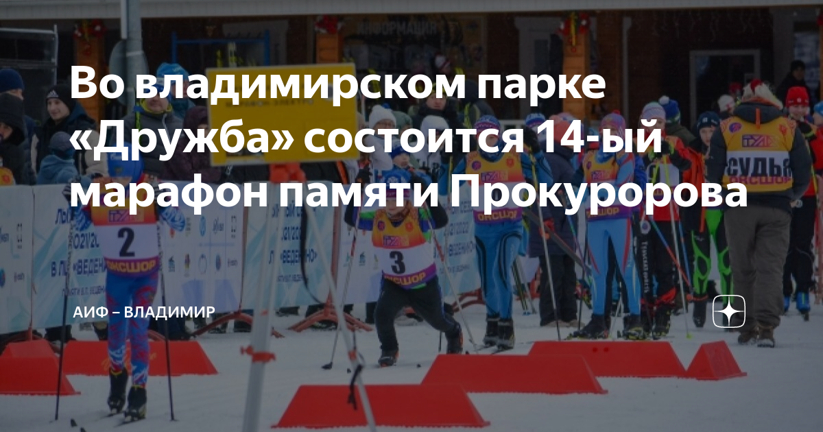 Лыжня прокуророва 2024. Лыжня Прокуророва во Владимире. Лыжные гонки любительские девушки. Прокуроров лыжный марафон.