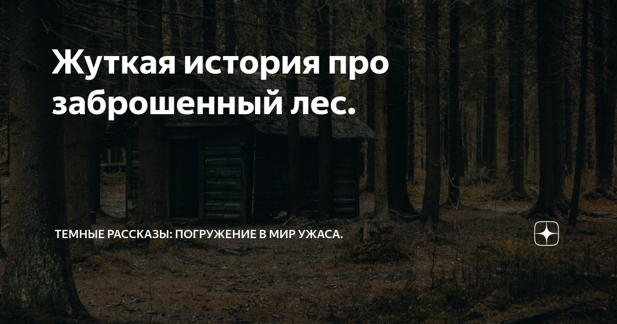 Про темный лес песня. Иди через темный лес. Леса здесь темные мастерская историй. Академия темного леса. Истории которые происходили с вами в лесу.