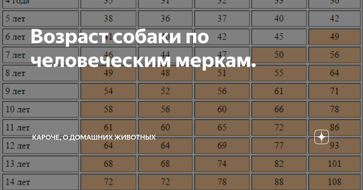 Мерки жизни собак. Собачий Возраст по человеческим меркам таблица. Мерки возраста собак. Собачьи года на человеческие таблица. Собачий Возраст на человеческий таблица.