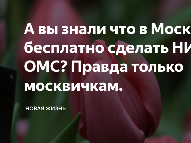 Нипт бесплатно москвичам