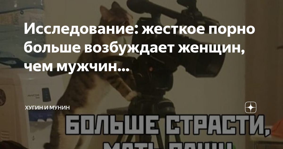 Исследование: жесткое порно больше возбуждает женщин, чем мужчин… | Хугин и Мунин | Дзен