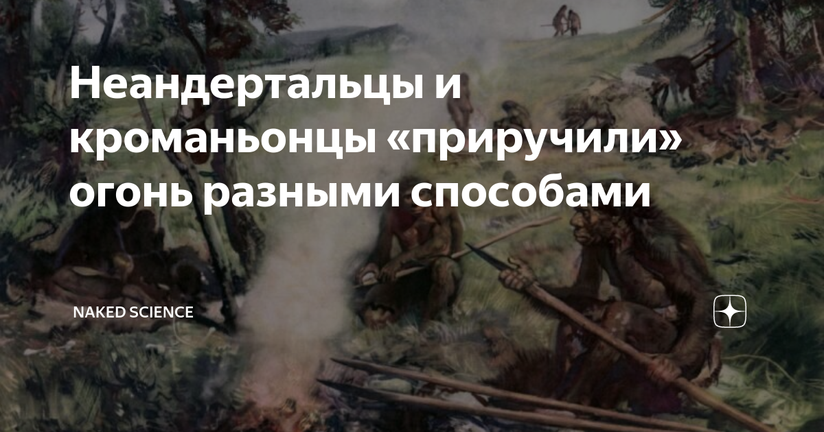 Неандертальцы и кроманьонцы «приручили» огонь разными способами | Naked ...