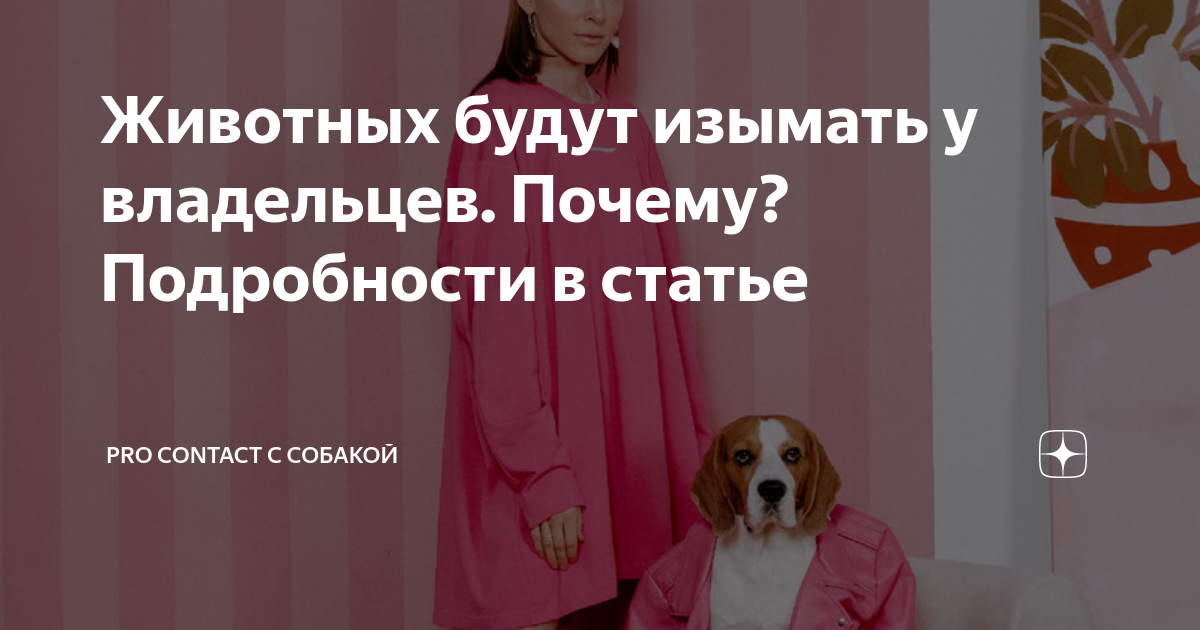Проект закона об обращении с животными