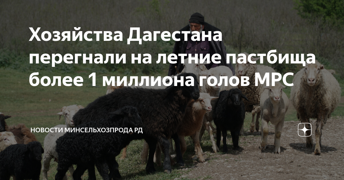 Пастбищеоборот схема пастбищеоборота