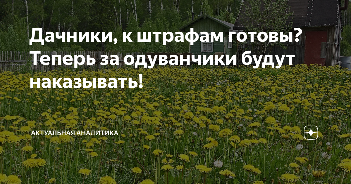 Не назначен план видов расчета