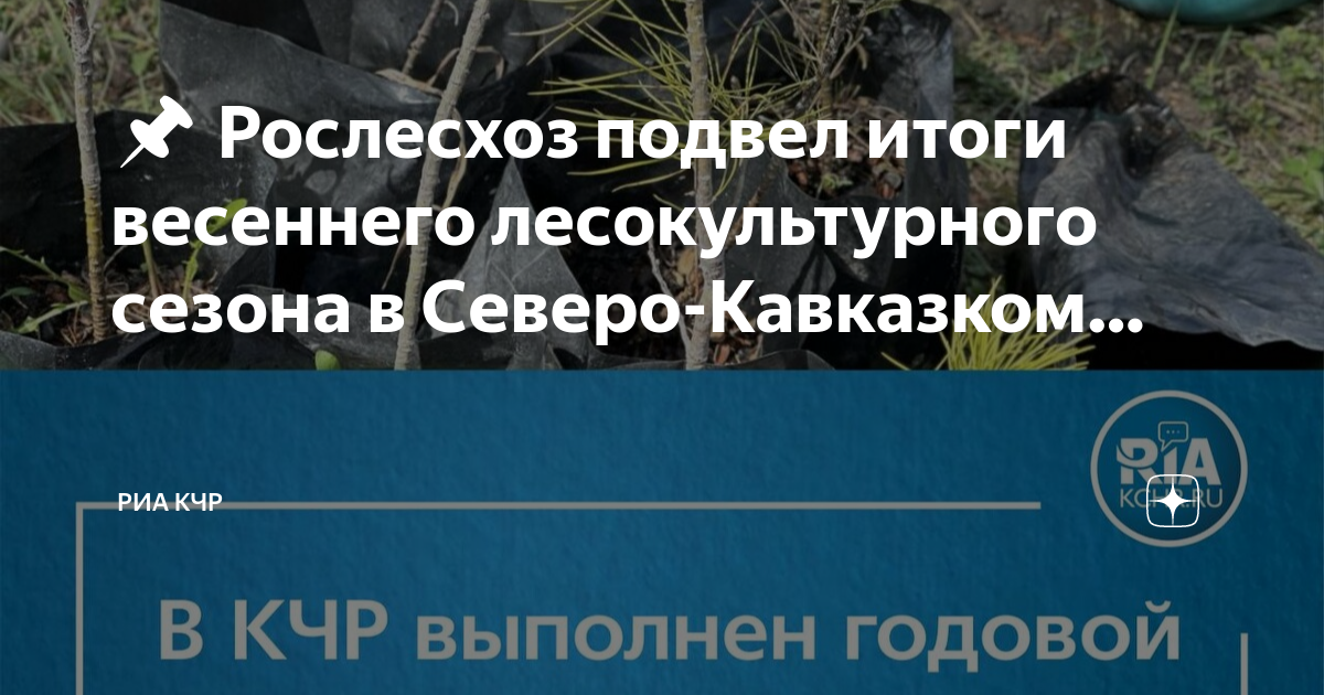 Лесной план кчр