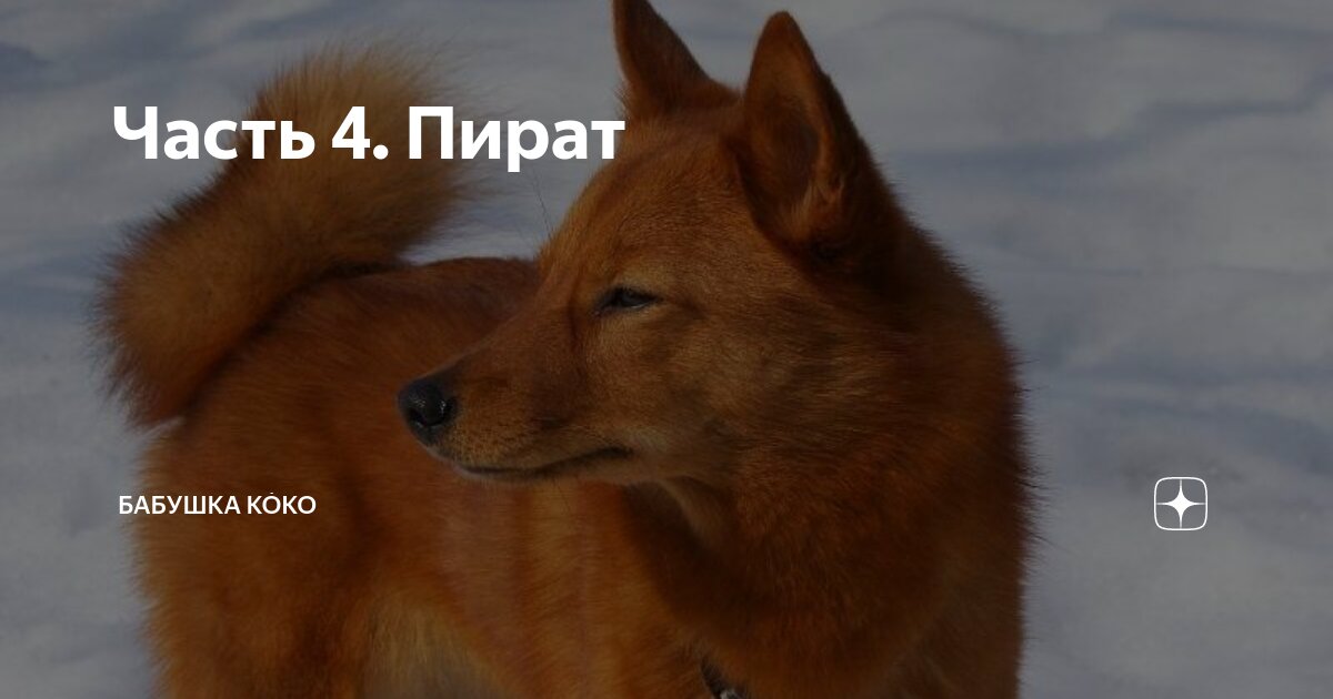 Часть 4. Пират | Бабушка КО́ко | Дзен