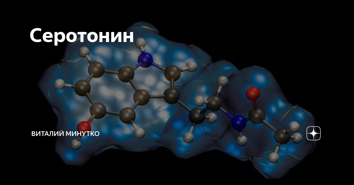 Центр серотонин. Центр серотонин