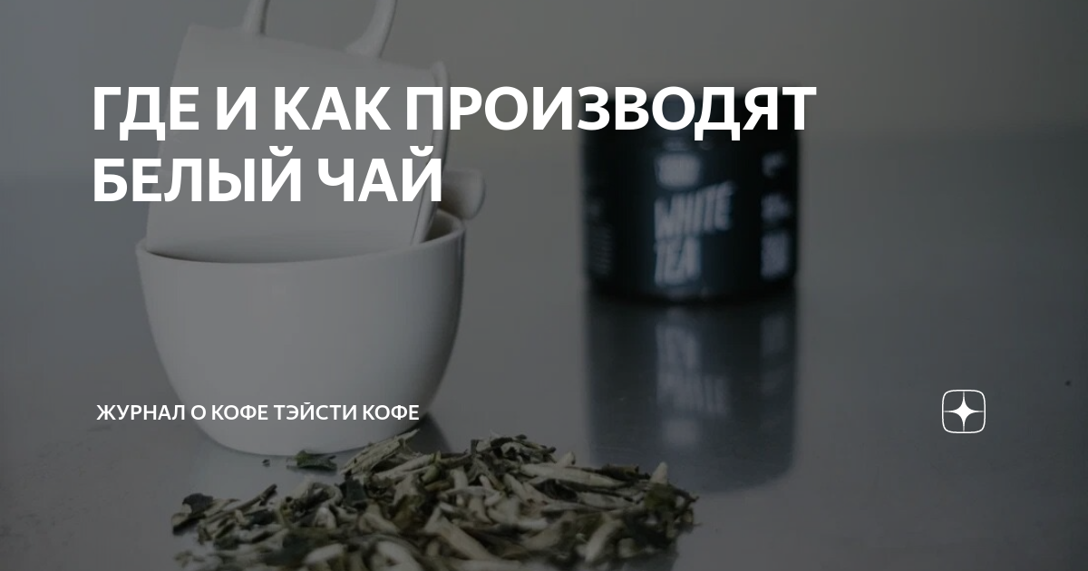 ГДЕ И КАК ПРОИЗВОДЯТ БЕЛЫЙ ЧАЙ | Журнал о кофе Тэйсти кофе | Дзен