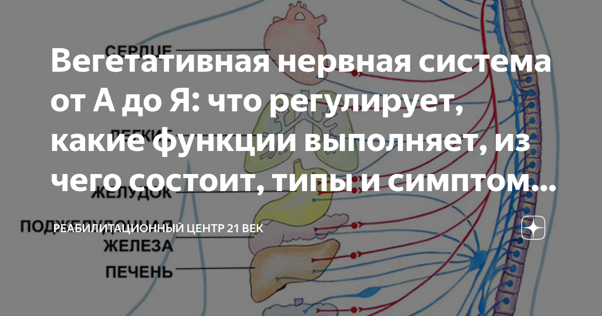 Somatoform dysfunction of the autonomic nervous system