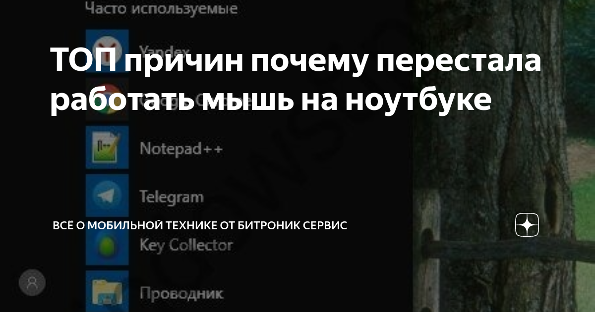 почему не работает мышь на ноутбуке
