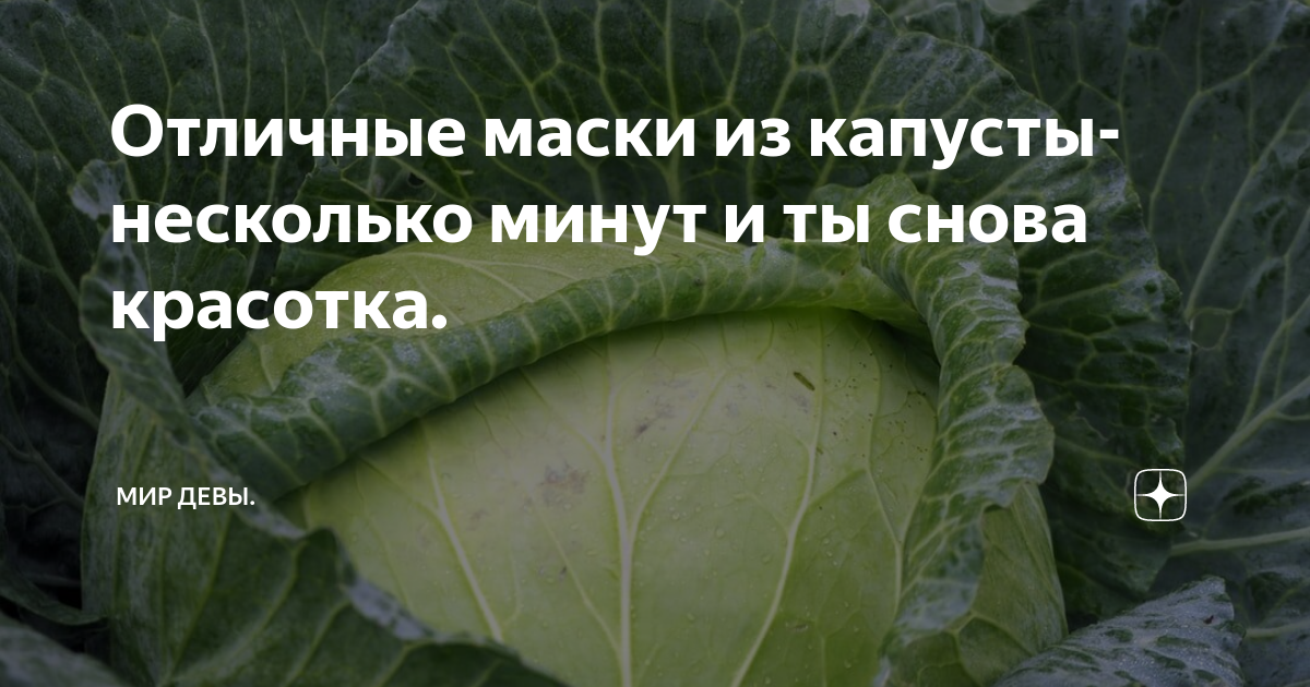 Торты в виде капусты на заказ в Москве | Заказать по выгодным ценам