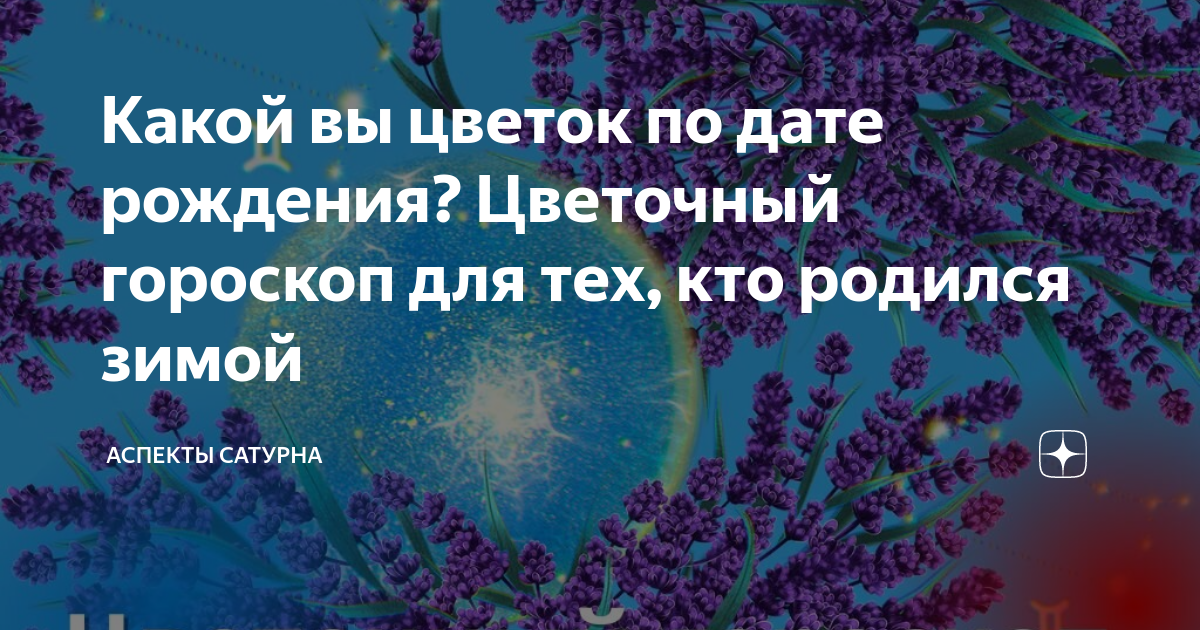 Цветочный гороскоп на 13 - 23 июля: ваш цветок фиалка