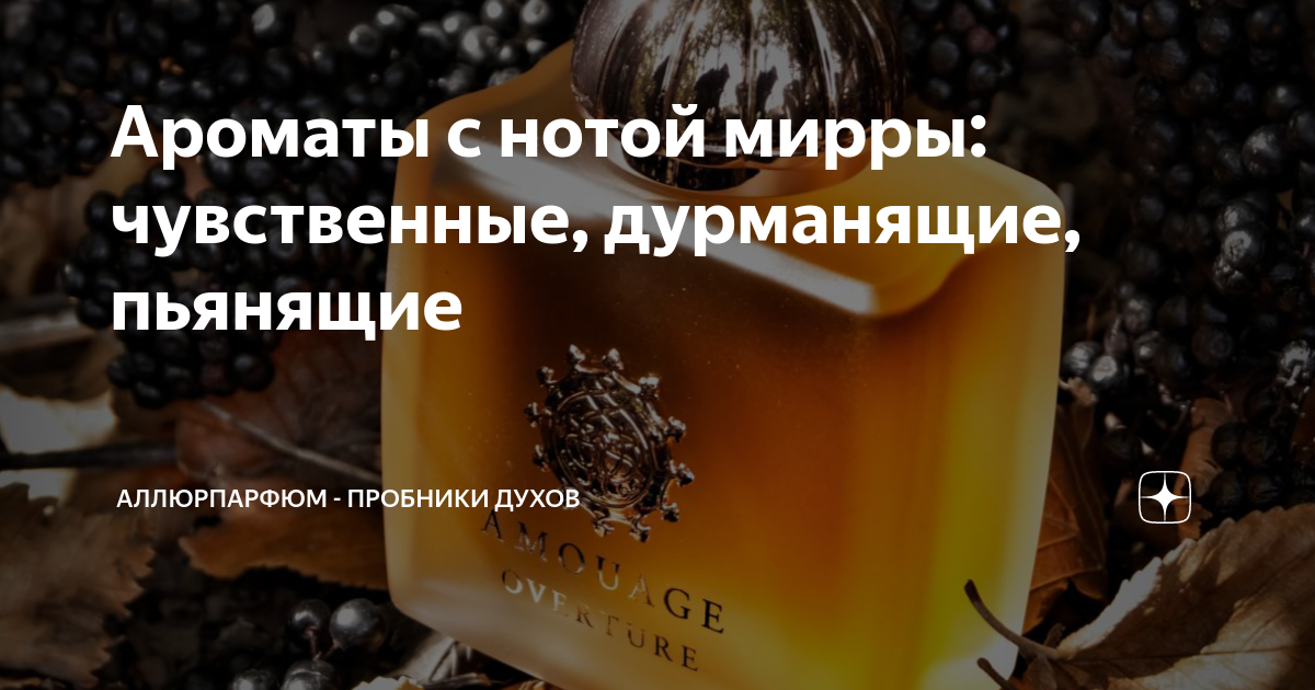 Ароматы с нотой мирры: чувственные, дурманящие, пьянящие | АллюрПарфюм ...