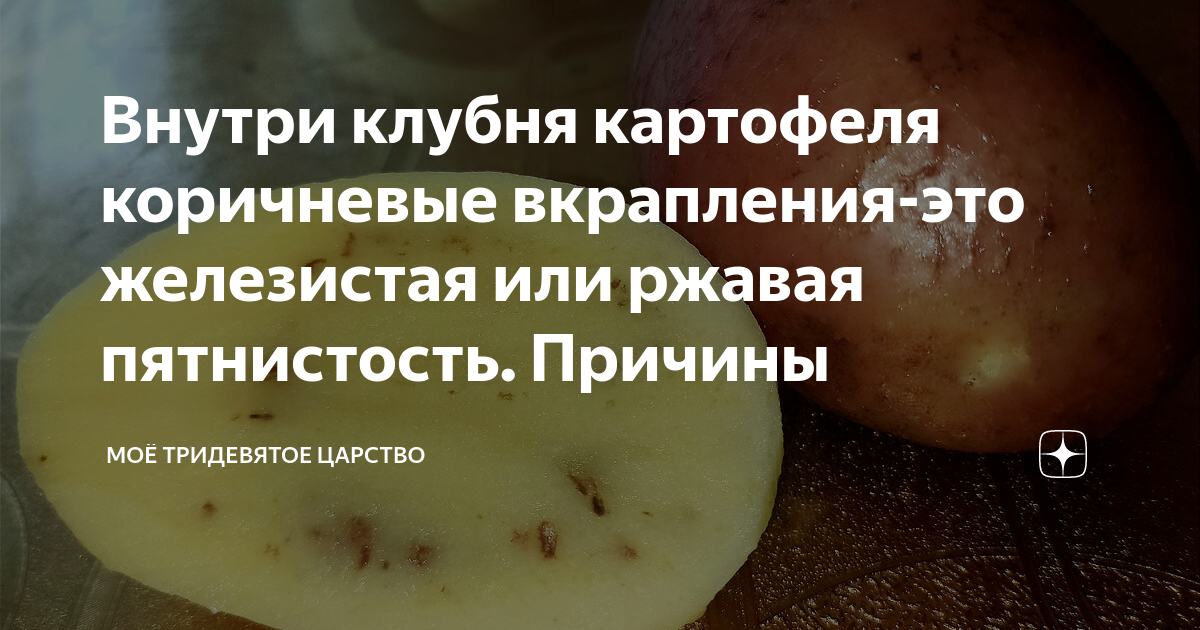 Фиолетовый картофель: много кто о нём говорит, но мало кто сажает | уДачный проект | Дзен