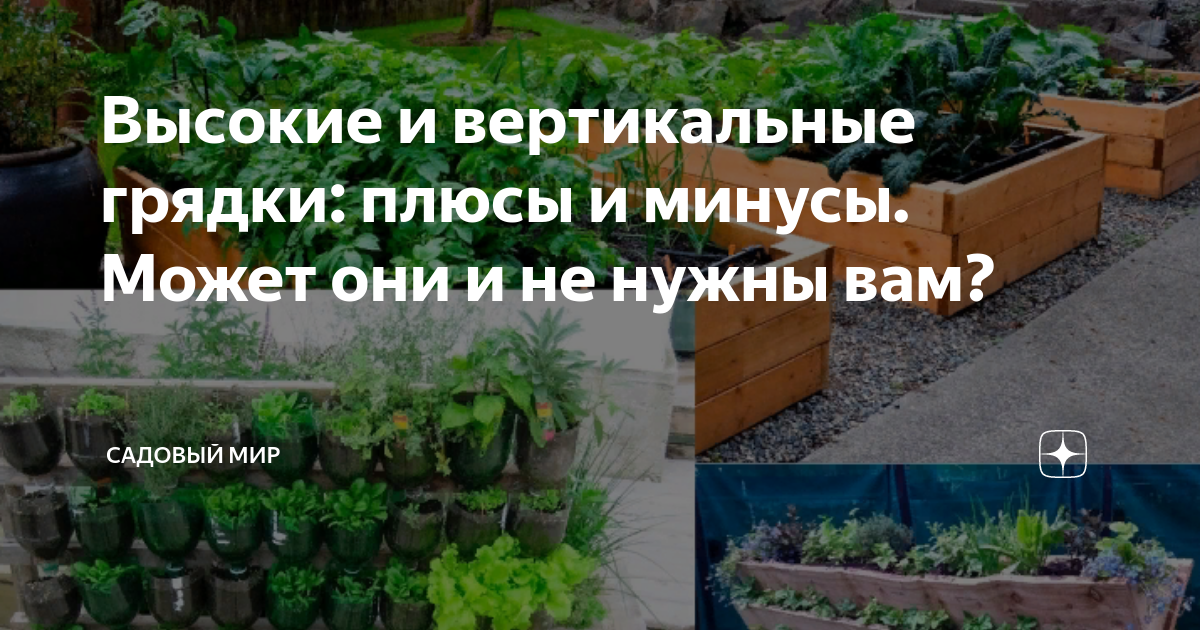 Плюсы и минусы высоких грядок: полный обзор