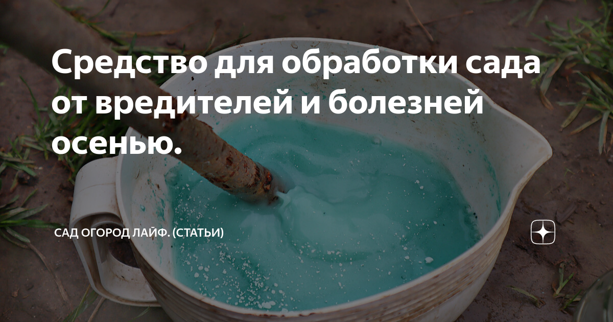 Средство для обработки сада от вредителей и болезней осенью. | Сад ...