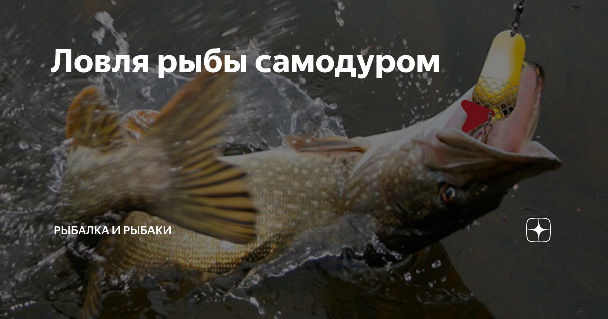 Ловля рыбы самодуром | Рыбалка и рыбаки | Дзен