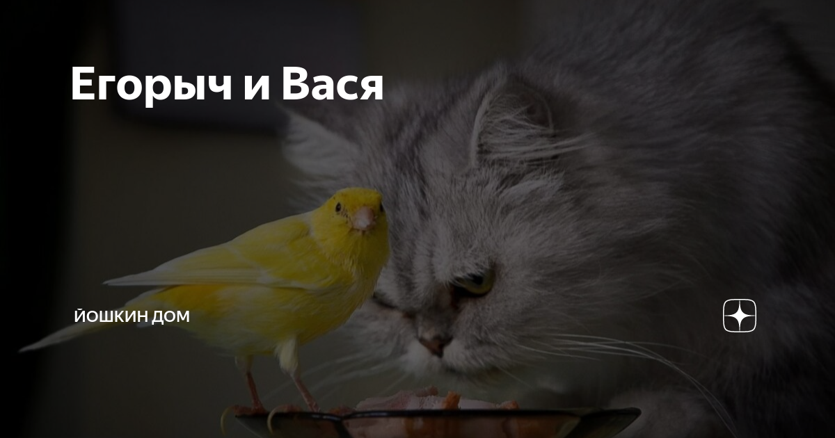 Йошкин дом на дзене. Йошкин дом на дзене читать рассказы дзен. Йошкин дом на дзене канал. Йошкин дом на дзене читать рассказы дзен. Йошкин дом на дзене читать рассказы дзен.