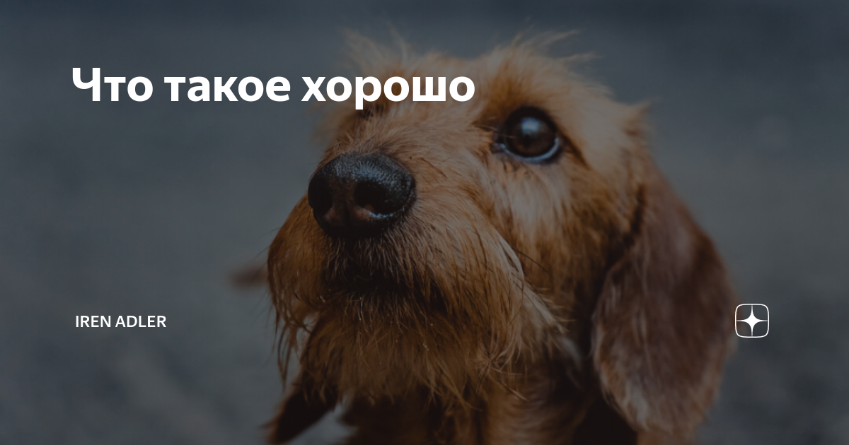 Фотосессия в адлере на море. Adler дзен канал. Adler дзен канал. Adler дзен канал. Adler дзен канал.