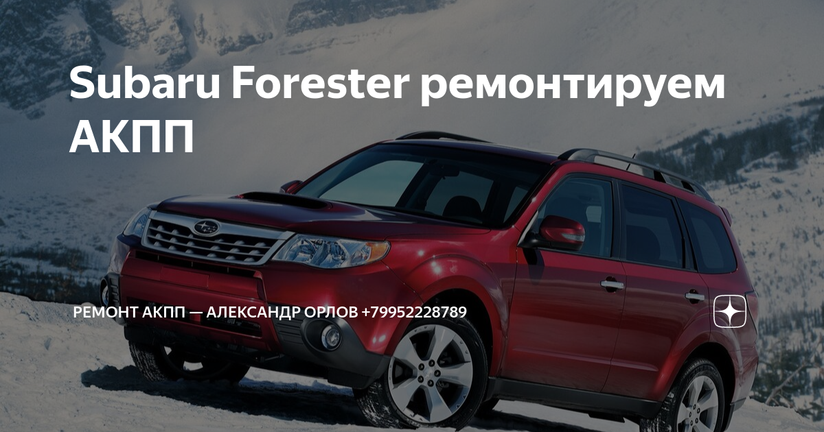 Forester проблемы. Forester проблемы. Forester проблемы. Субару форестер 2016. Forester проблемы.