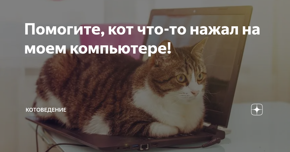 Котенок мило лижет стекло языком - обои на рабочий стол