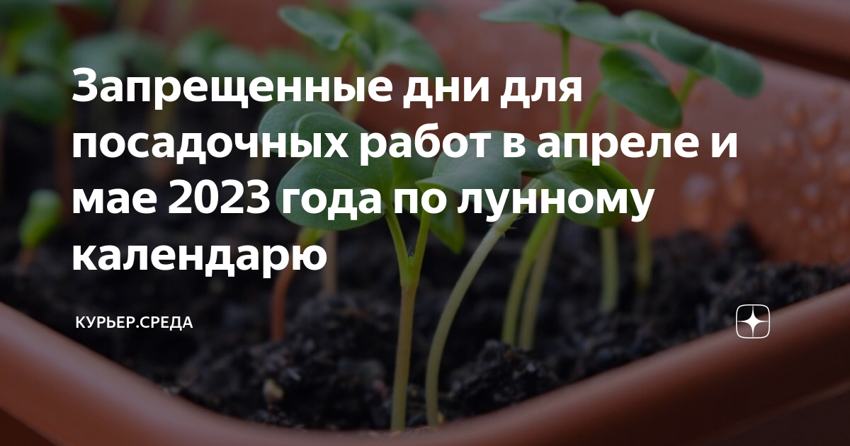 Неблагоприятные дни в ноябре 2023 года