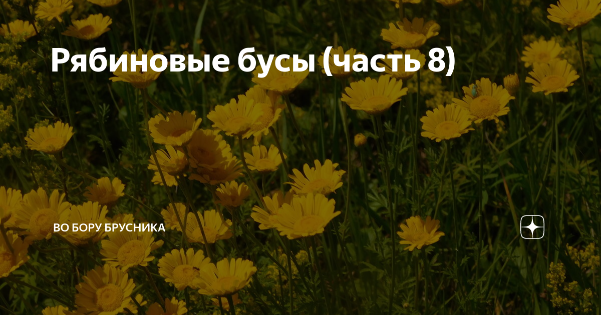 Во бору калина