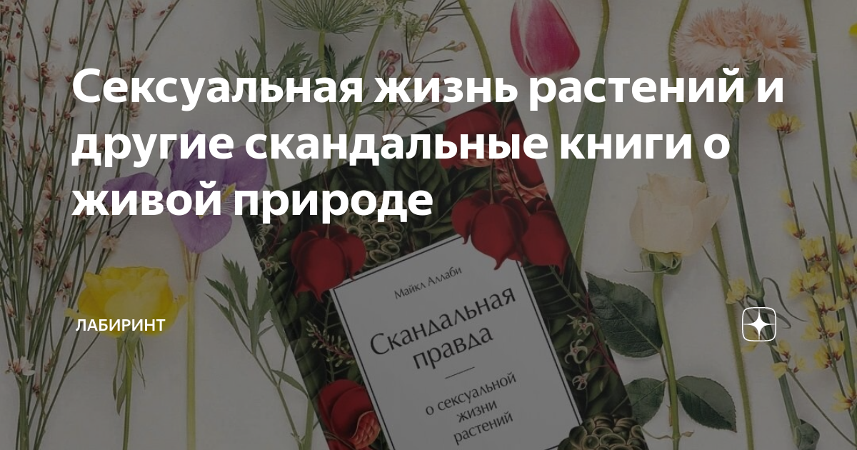 Сандей Аделаджа: купить книги автора в интернет-магазине МСМ по выгодной цене