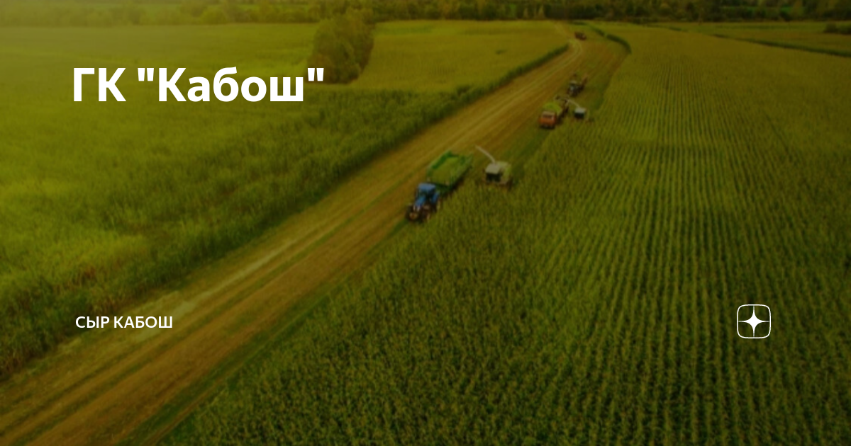 ГК "Кабош" | Сыр КАБОШ | Дзен