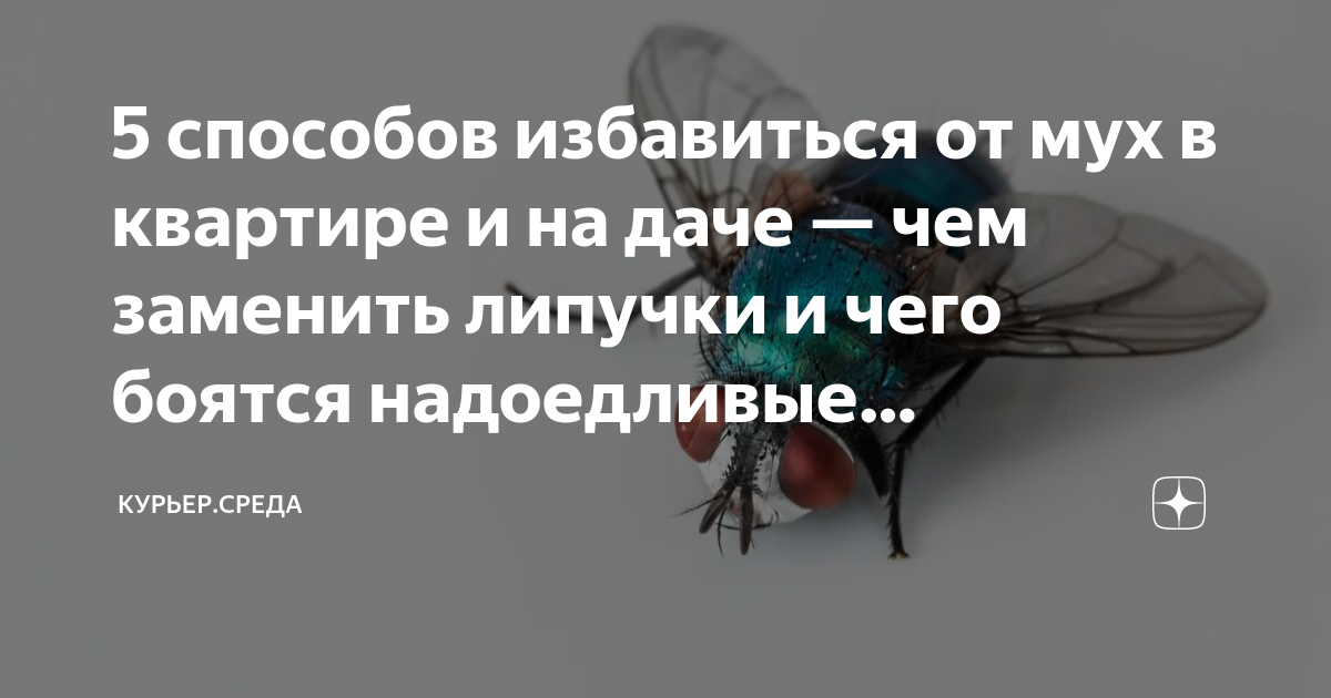 Липучки от мух и моли оптом купить, Пластины от комаров оптом, Фумигаторы оптом