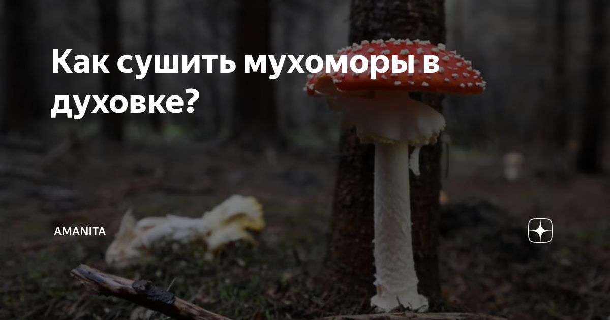 как сушить грибы мухоморы