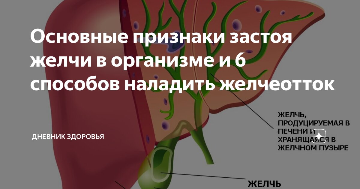 Симптомы застоя желчи в организме. Наладить желчеотток в организме. Улучшить желчеотток. Застой желчи упражнения.