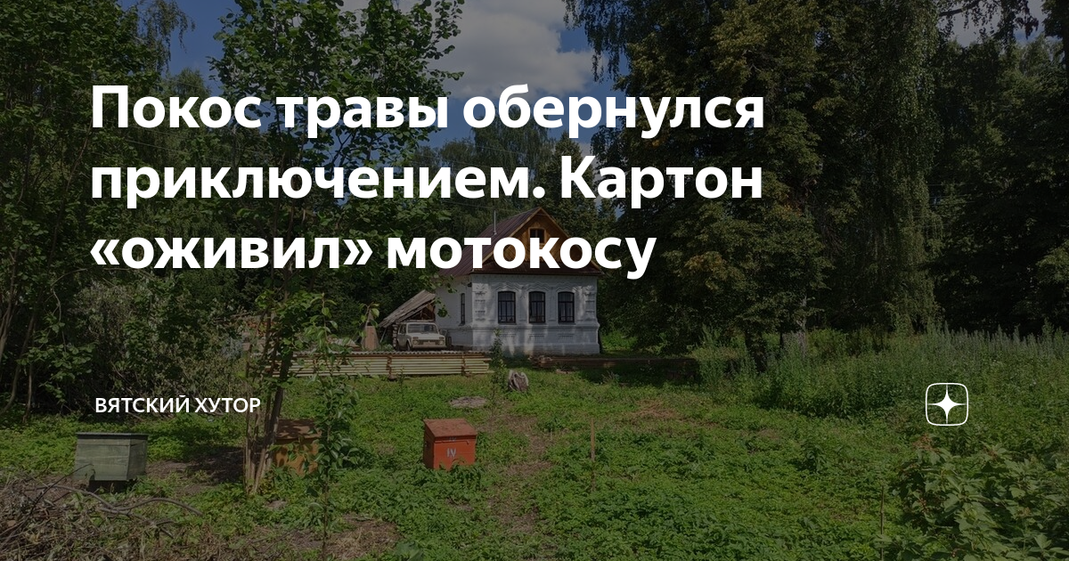 Из деревни в деревню на дзене последнее. Вятский Хутор. Вятский Хутор дзен. Вятский Хутор дзен последнее.