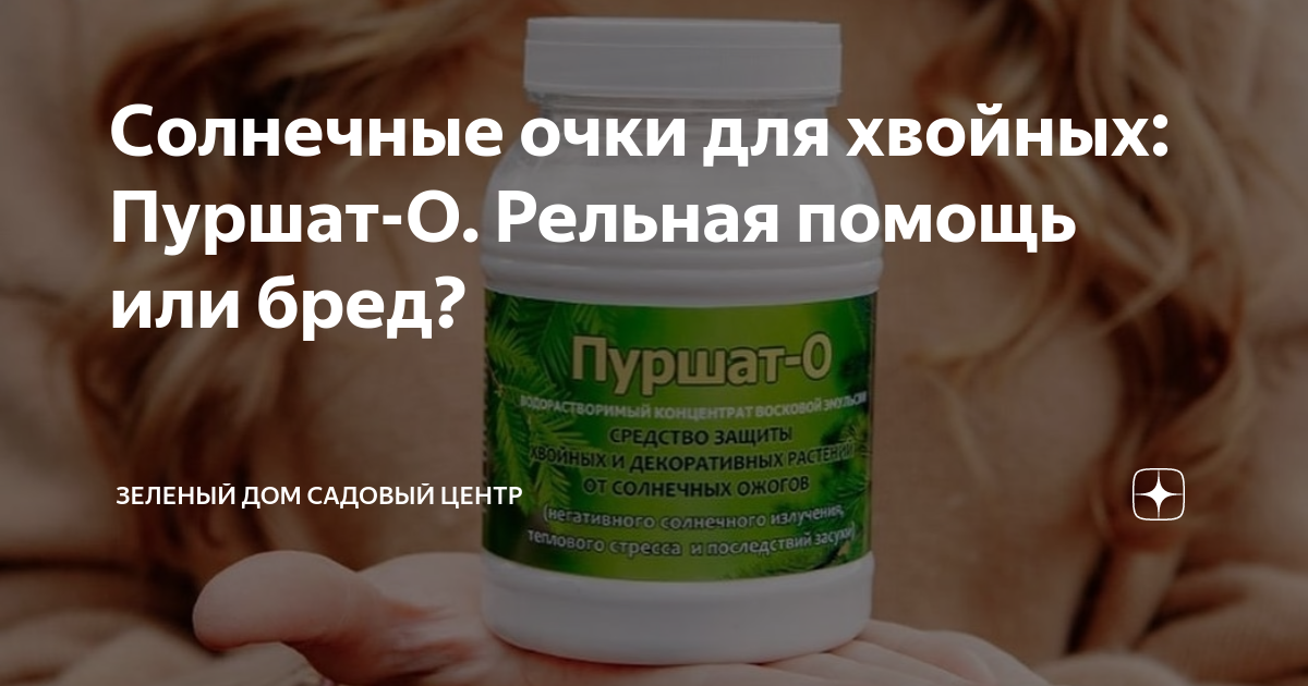Солнечные очки для хвойных: Пуршат-О. Рельная помощь или бред ...