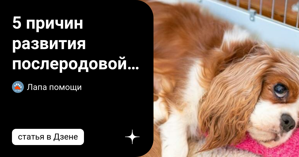 Мутации генов