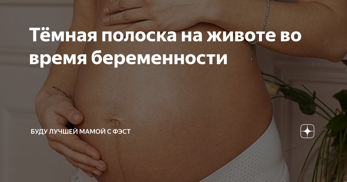 Когда появляется полоска на животе? — 40 ответов | форум Babyblog