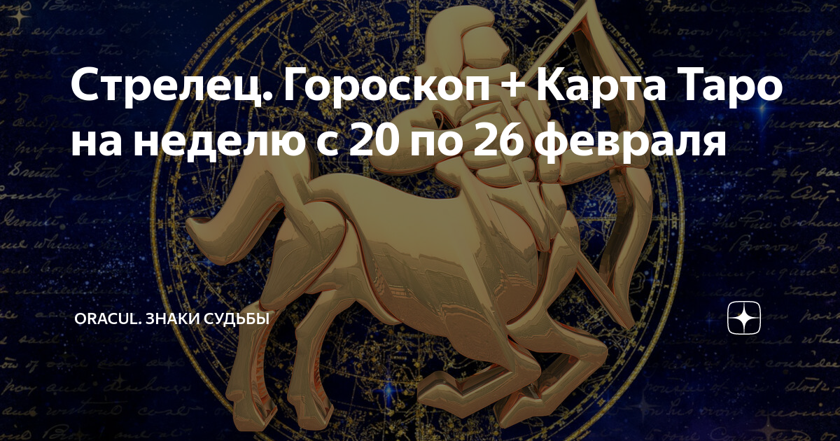 Гороскоп на 7 апреля стрелец. Судьба по гороскопу стрельца. Гороскоп Стрелец на апрель. Кот Стрелец гороскоп. Новый знак зодиака.