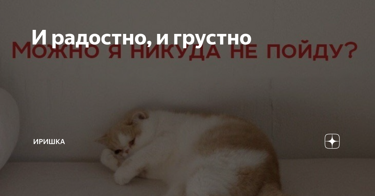 И радостно, и грустно | ИРИШКА | Дзен