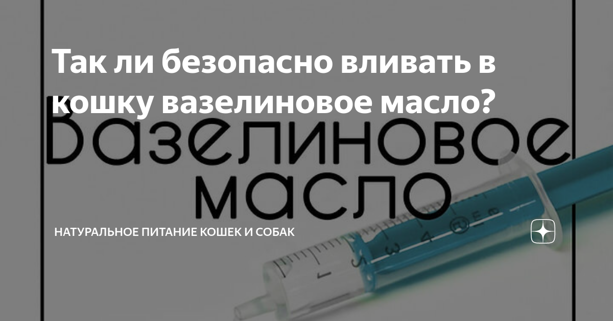 Вазелиновое масло для кошек и котов – мягкое средство от запора