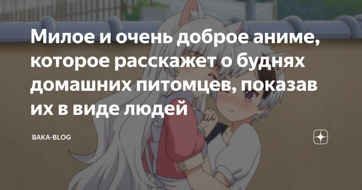 Милое и очень доброе аниме, которое расскажет о буднях домашних ...