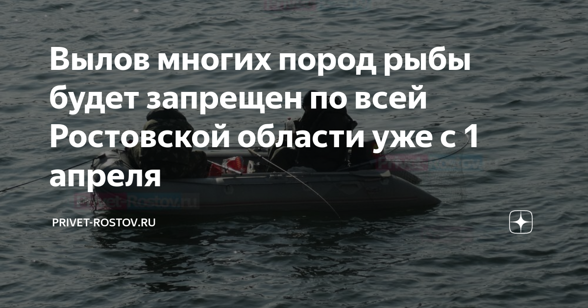 Запрет на щуку в ростовской. Временный запрет на вылов рыбы. Маныч запрет ловли щуки. Нерест рыбы на Дону. Нерестовый запрет Волгоградская область.