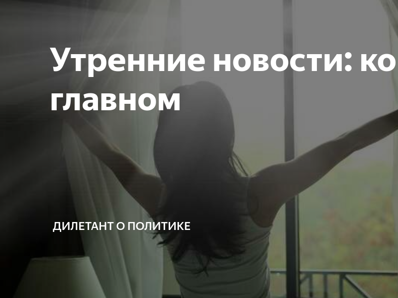 Дилетант о политике в дзен